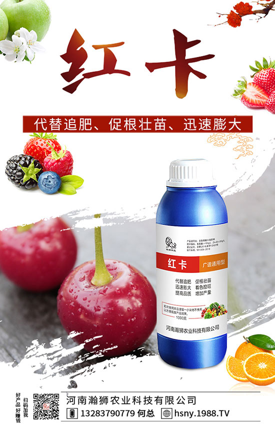 �����������ι�����������������Լ��gҪ�c