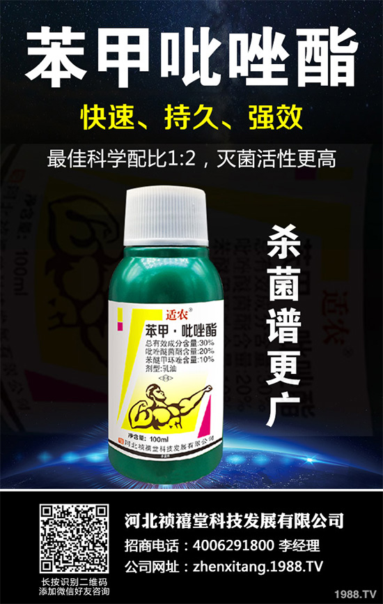 ������������~���򊙊����t��ǰ������