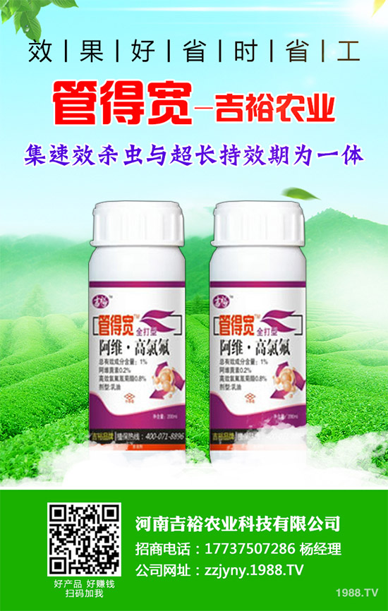 �����������x�������������������g(sh��)����