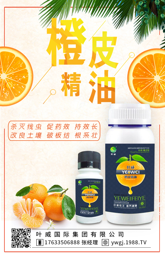 �~�����H���F(tu��n)���޹�˾