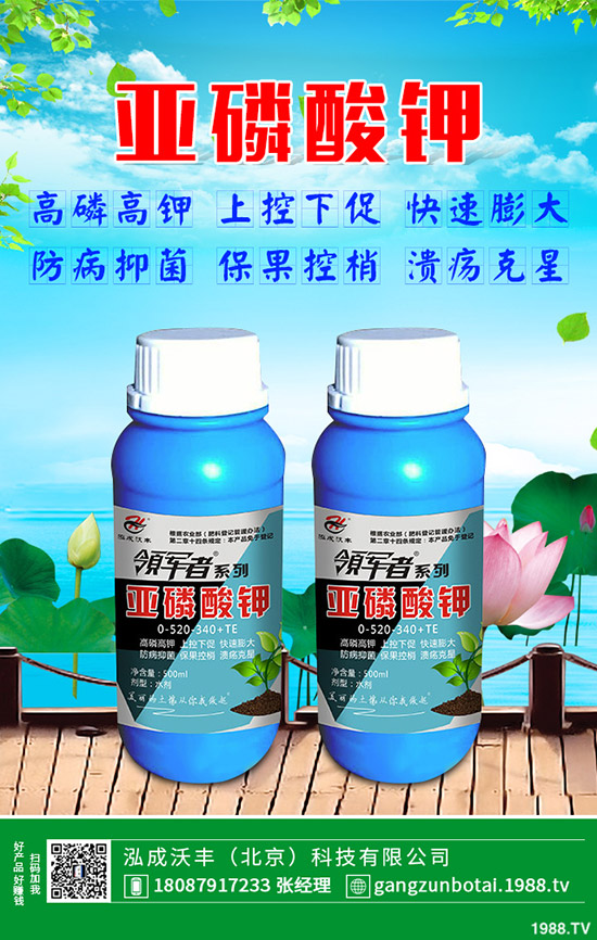 �S�Ϗ�����ʲôԭ�������S�Ϗ��ϸ���Ҫ�E��