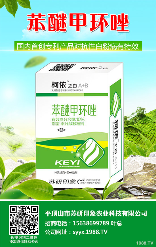     ��ذl(f��)�F(xi��n)���Ծ�������(y��ng)���赾��������뿾����Ŀ�ˎ�Ԇ��}