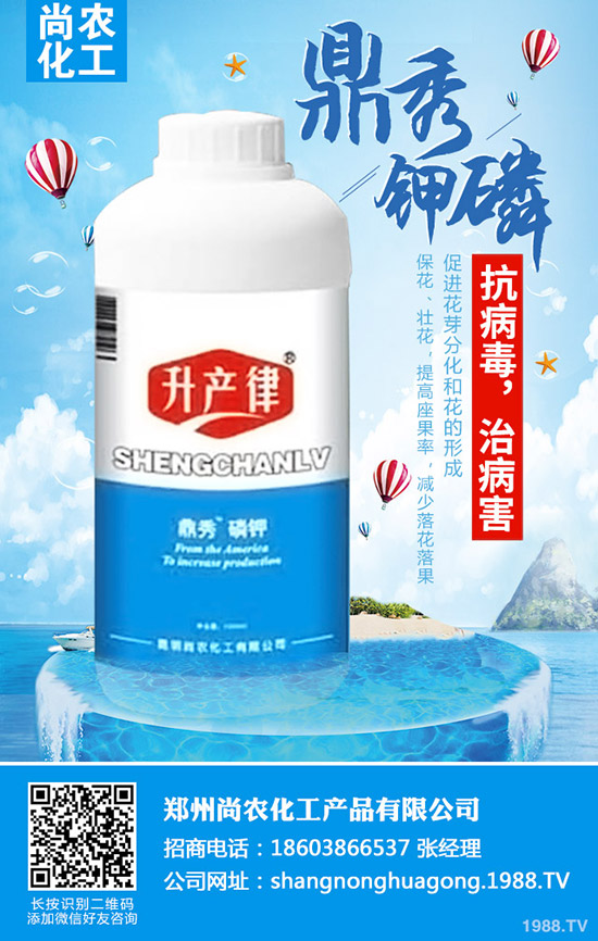     ���{(l��n)���Y(ji��)����ô�k�����{(l��n)���Y(ji��)��ԭ�򼰷��δ�ʩ��