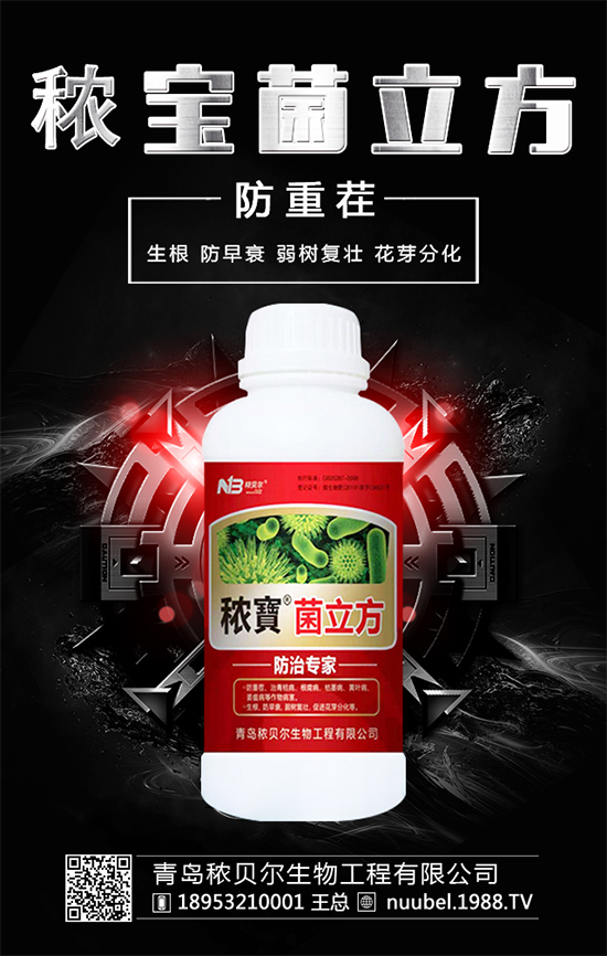 ����ʲô�r����Բ��������պ�İ�����ô̎����