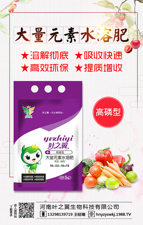 �������L��������Щ�����ɵ����g����Ҫ�c��