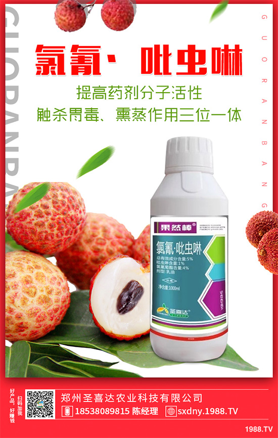 ��������ӛ���������x(ch��ng)�y��߀�������������T��Ҫ���(qu��n)��������