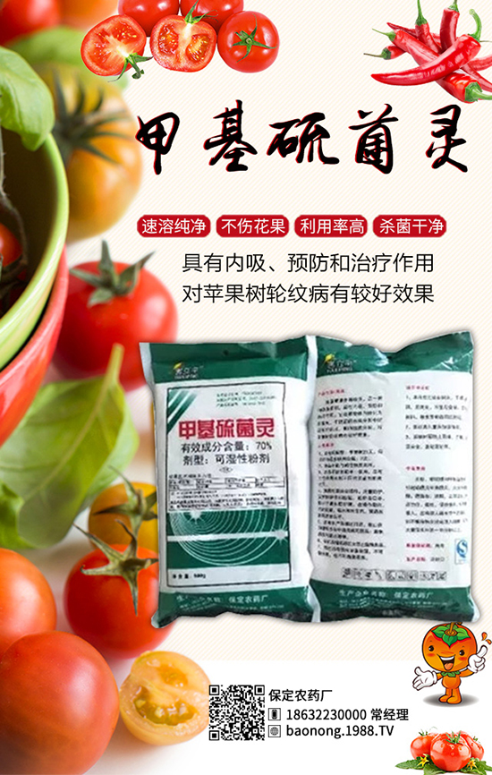 �������t�����༼�g(sh��)���������t�����x(ch��ng)��������