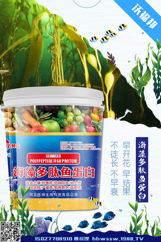     茄子種植需要注意哪些問題，茄子的水肥管理要點(diǎn)！