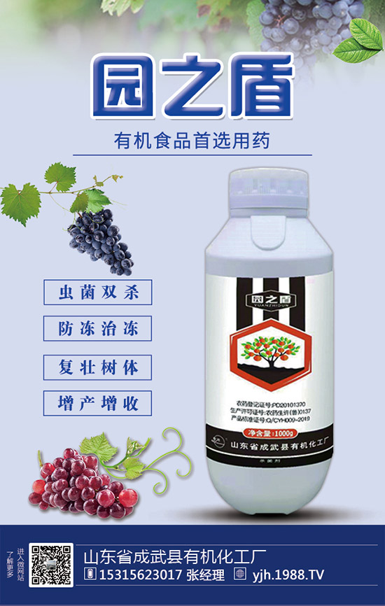 �J�S���ʩ�ʣ��J�S��ʲô���Ϻ����J�S������c(di��n)��ע�����(xi��ng)��