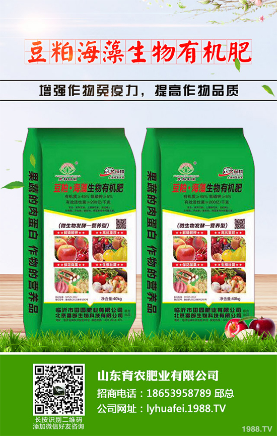 ��z�ʾ�ԓ��������������������z�ʾո߮a(ch��n)�������