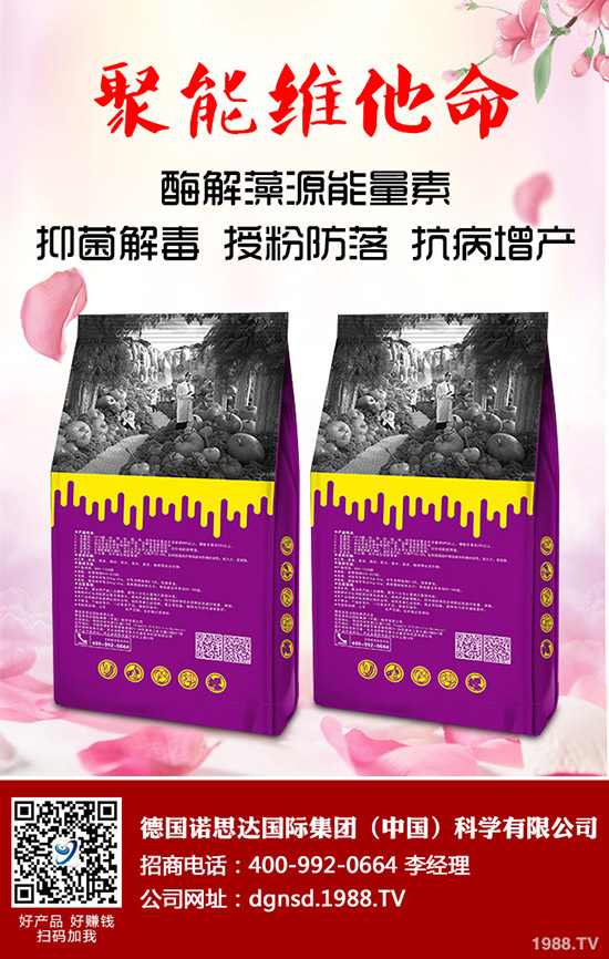 密本南瓜怎么種植?密本南瓜的栽培技術(shù)要點(diǎn)與方法!