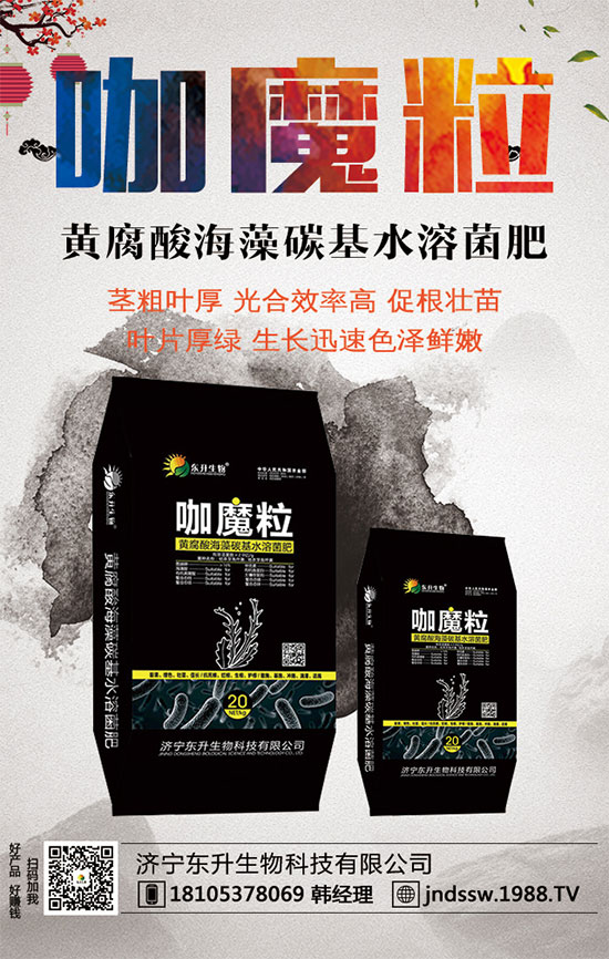 С����ʲô�g�Nֲ�r��С���۷Nֲ����Ҫ�c��