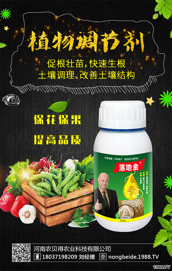 С��������Щʳ�Ãr(ji��)ֵ��С���۵��ΑB(t��i)������