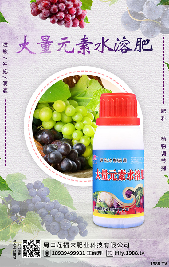 ���v�̶����Xһ�����Nֲǰ����Σ���ˎ�ĵ�Ч�����