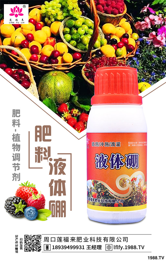 ���v������Щ��;��ԓ������������v�������������g(sh��)