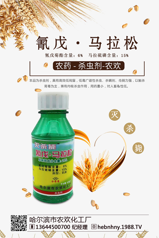 �x(ch��ng)���߷��ڡ������x(ch��ng)ຸ�Ч���x(ch��ng)�����Դ������