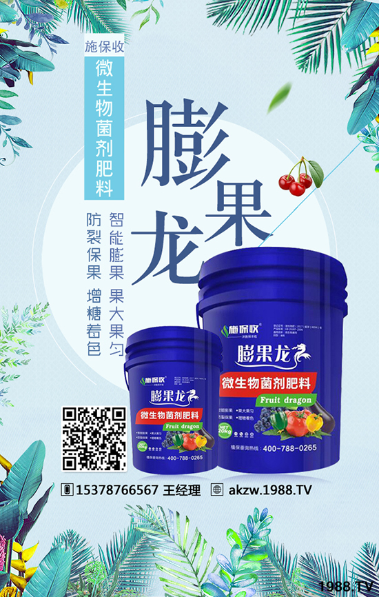 ���ϰ������ﱣ�o���޹�˾