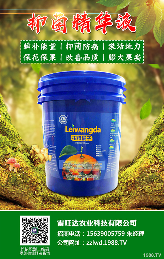 �~�Ȳ��Ј��r(ji��)������Xһ����2020���~�ȲݵķNֲЧ�����