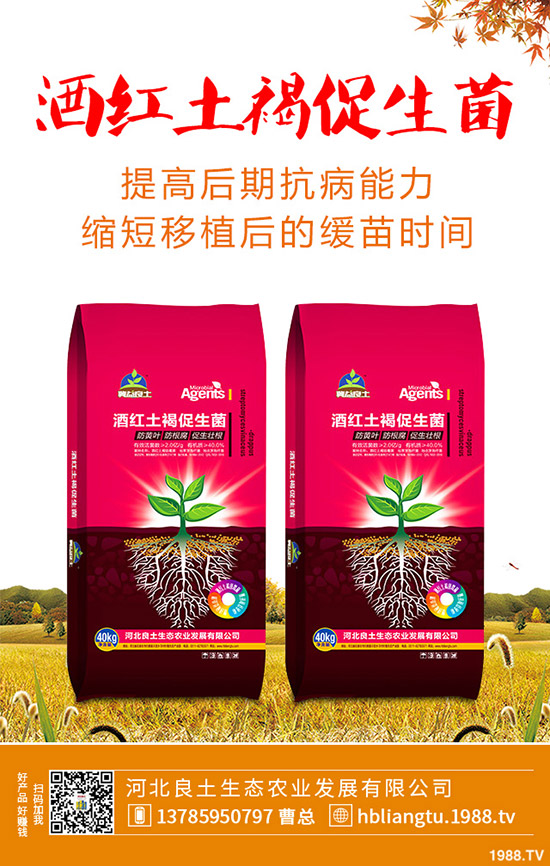 �{��ʲô�r(sh��)��Nֲ�^�ã��{�˵ķNֲ���g(sh��)�c���g����