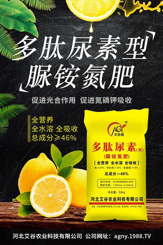 �ļ����NֲҪ�c���ļ������缼�g(sh��)�����ڹ���