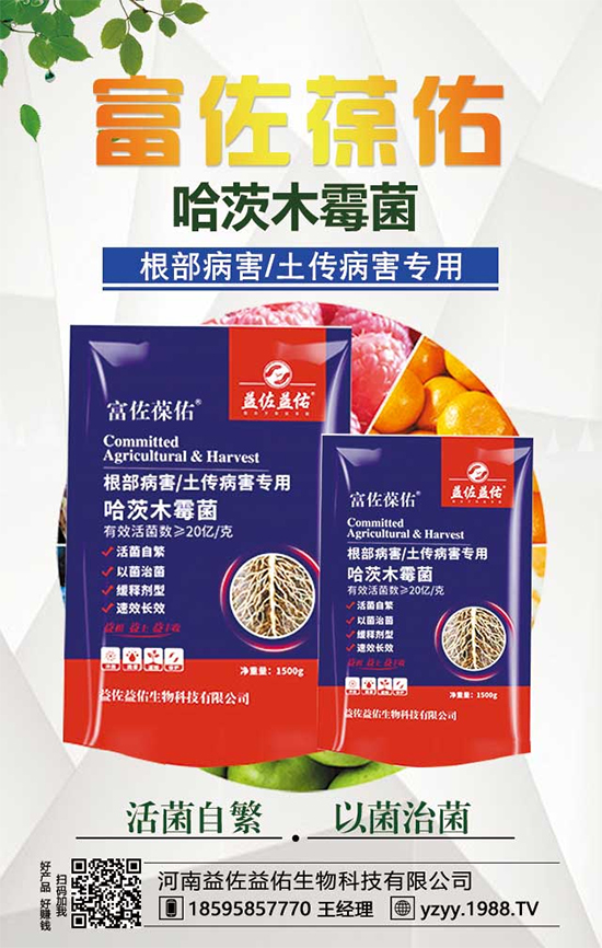 ���^����ʲô�I(y��ng)�B(y��ng)�r(ji��)ֵ�������^��ʲô��̎��