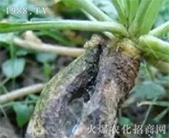 �}���ָ����İY����}���ָ����ķ���