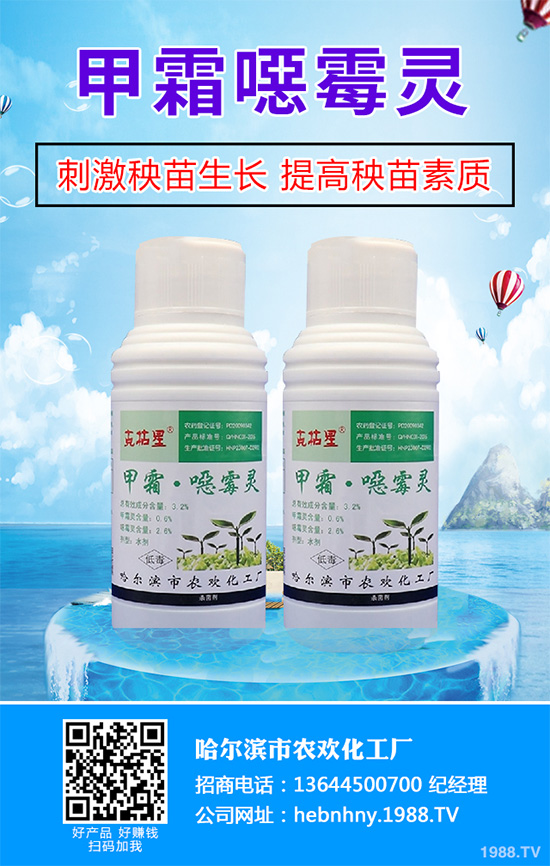 �����Բ���