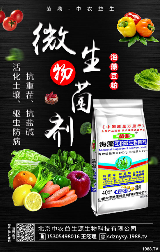     ���@�Ј����w���F(xi��n)ƽ�o��2020-5-12����������@�r(ji��)�����������