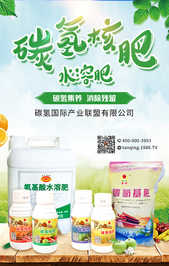     5�¿��ԷNʲô����5���߲˷Nֲָ�ϼ���ע�����(xi��ng)��