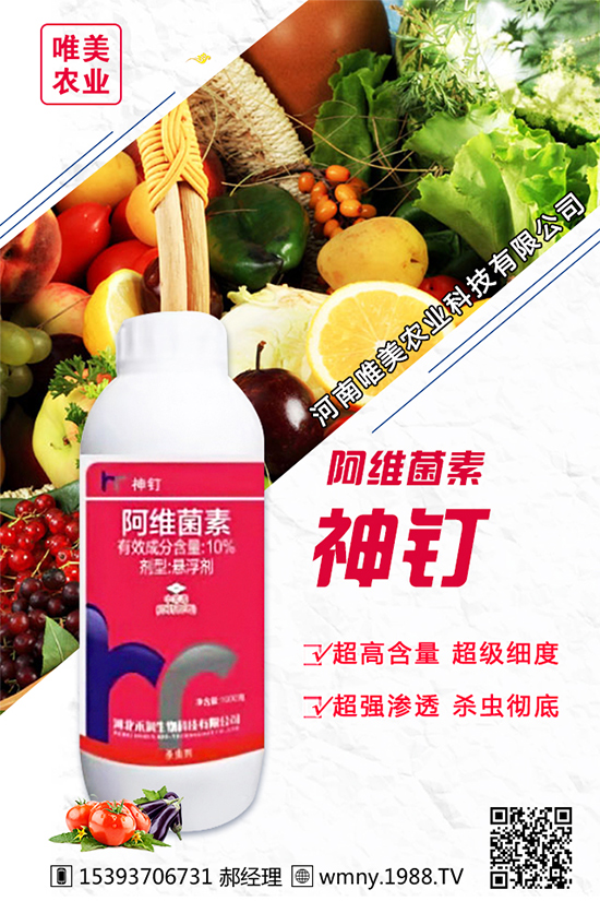 ���[������Ʒ�N����Щ���Nֲ���[���h(hu��n)���l����Ҫ����