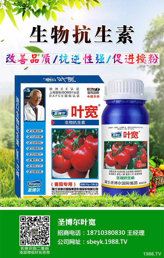 ���ﱡƤ���ԓ�����������Ƥ��ϸ߮a(ch��n)���༼�g(sh��)