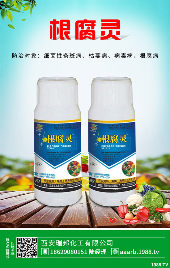 �������r(ji��)��