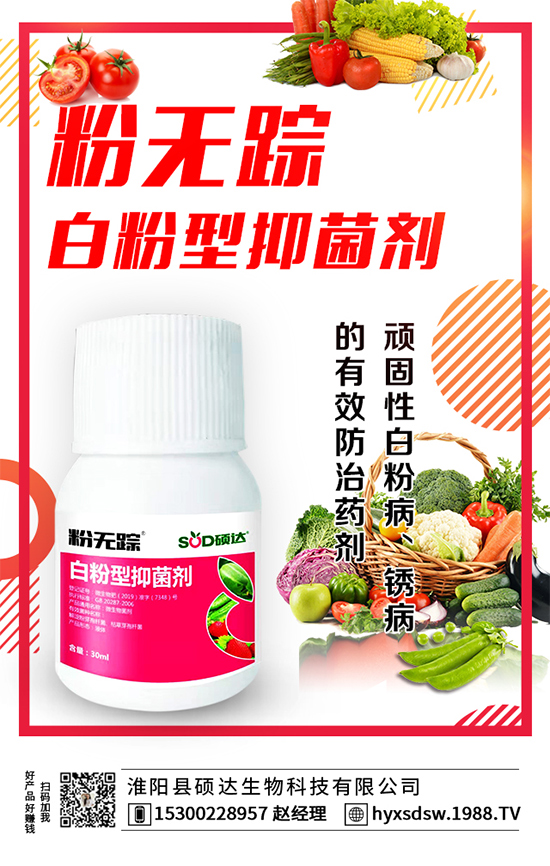 ������ô�Nֲ�������Nֲ���g(sh��)Ҫ�c(di��n)��