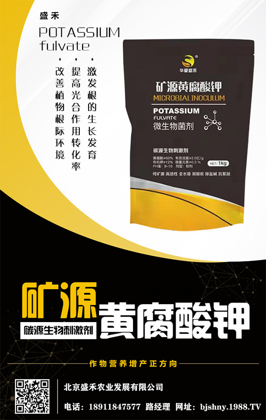     ����⛷�(w��n)���\����2020.05.16⛷ʃr�������߄ݷ�����