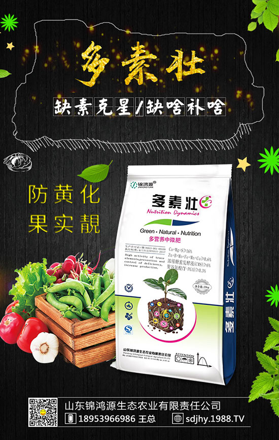 ���������緽������Щ������������Ҫ�c(di��n)�����ڹ�����