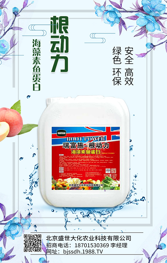 �Ә���ô���綨ֲ��������������M(j��n)�м޽ӣ�