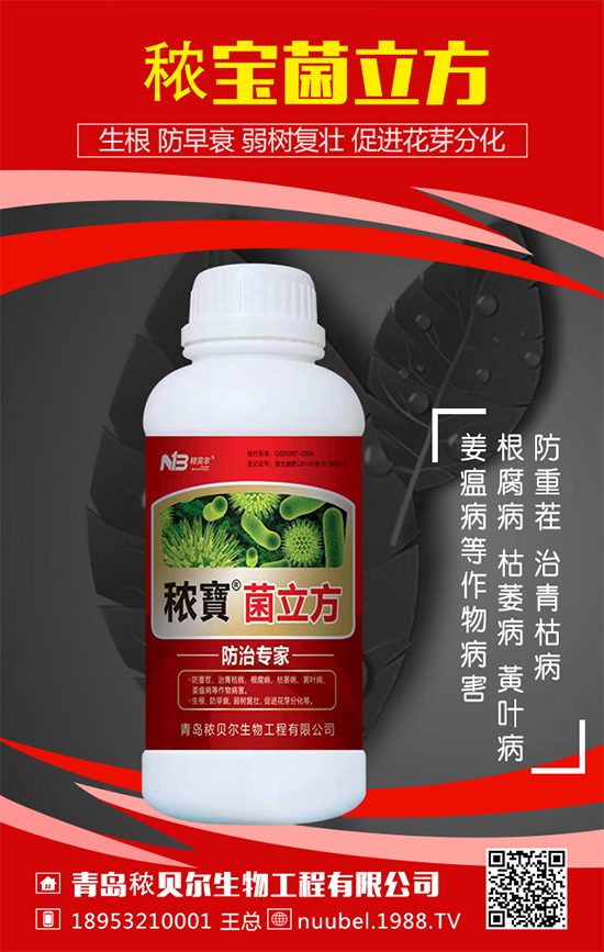 ���J��ô���N���������J�Ĳ��N���������L(zh��ng)�^����