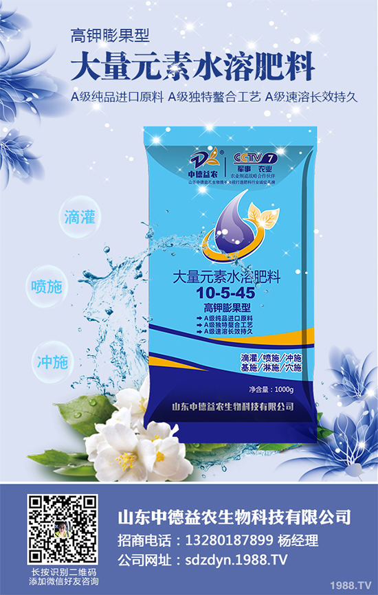 ���؅^(q��)�����������S��r