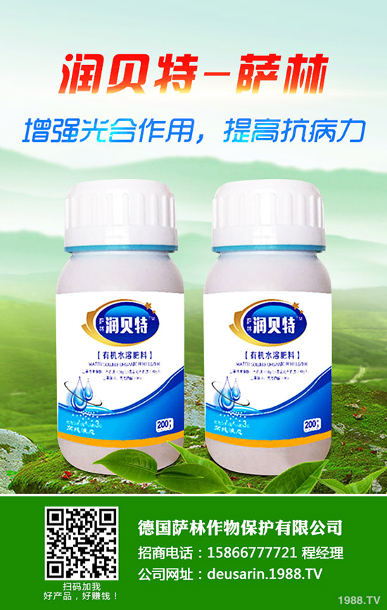 ��ۘ���ô�B(y��ng)����ۘ���B(y��ng)ֳ������ע�����(xi��ng)