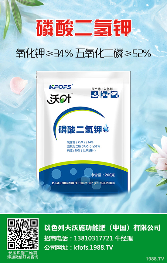 �����������S��(b��o)�r(ji��)