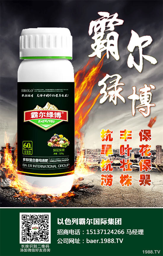 ������ʲô�r�򲥷N��2020���������粥�����ă�(y��u)ȱ�c����