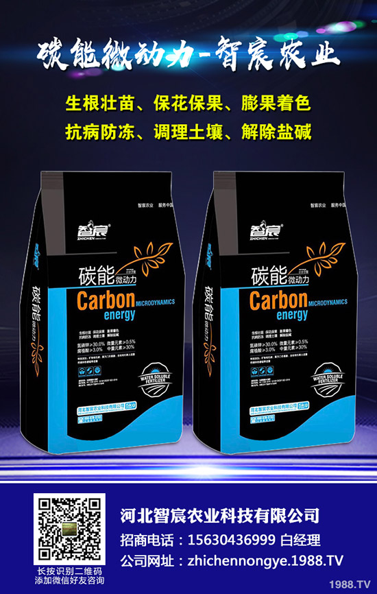 ���ϵ�������ԣ�����ʩ���Ľ�����