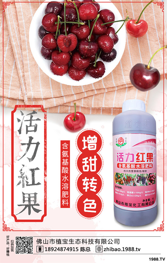     һ�@ӆ�����@�������������@�r(ji��)��������?q��ng)?b��o)