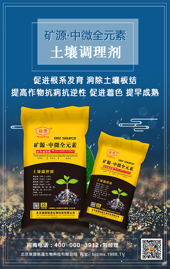 ��֥��ʲô�r�g�Nֲ����֥�����༼�g(sh��)Ҫ�c��