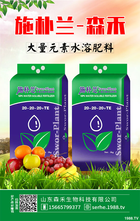 �R���r(ji��)�񲻔��������ܷ��^�m(x��)��(ji��n)ͦ��2020���R����Nֲǰ������