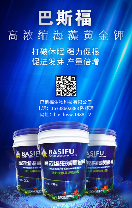 ����ʩ�ʵĸ��ѕr(sh��)�g��ɶ�r(sh��)���� զ��ʩЧ���ã�