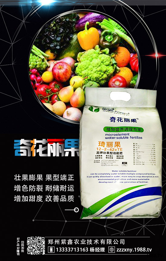 ��ݮĸ�綨ֲ������ʩ�ʣ����ӝ�ˮ��