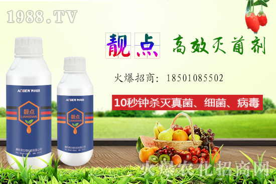 ����Ƭ��ʲô�������ԙ�����ʲô��̎��