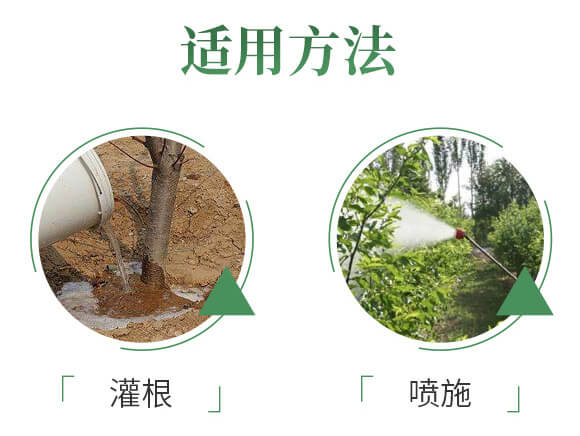 QQ�DƬ20200610184059_06