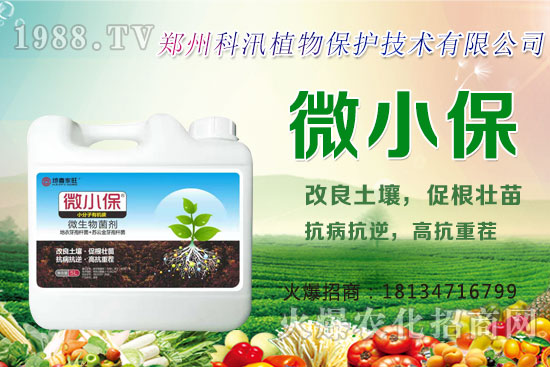 ����Ĺ�Ч�c�����������c�����Ă����РI�B(y��ng)��